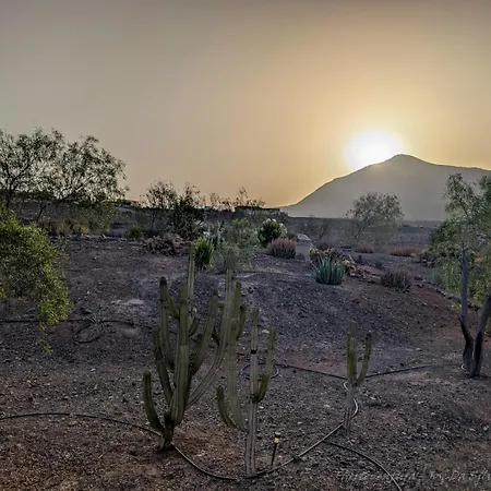 La Estrellas Tarajalejo
