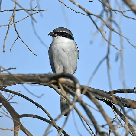 La Estrellas Casa de Férias