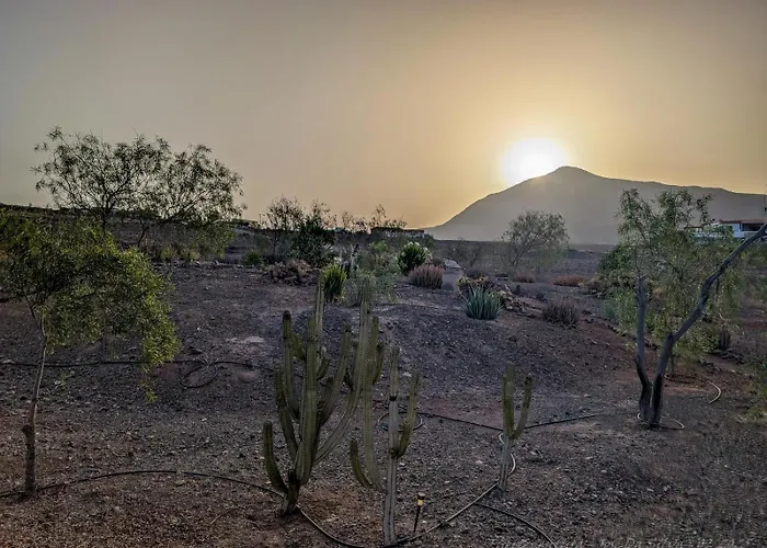 La Estrellas Tarajalejo